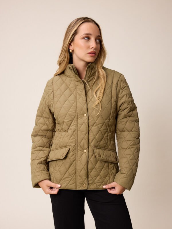 Kaki Polanco - Oliva